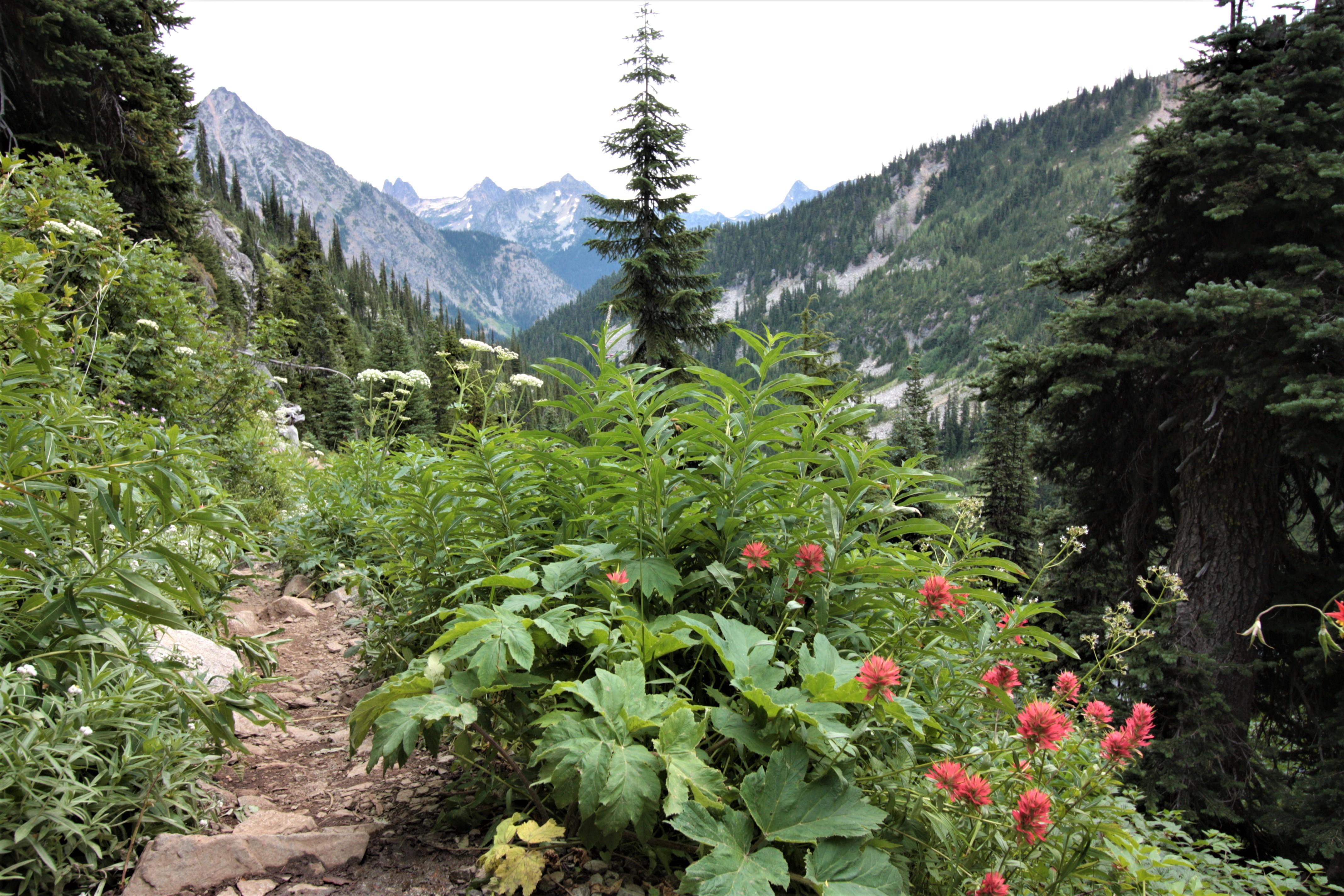 North Cascades NP